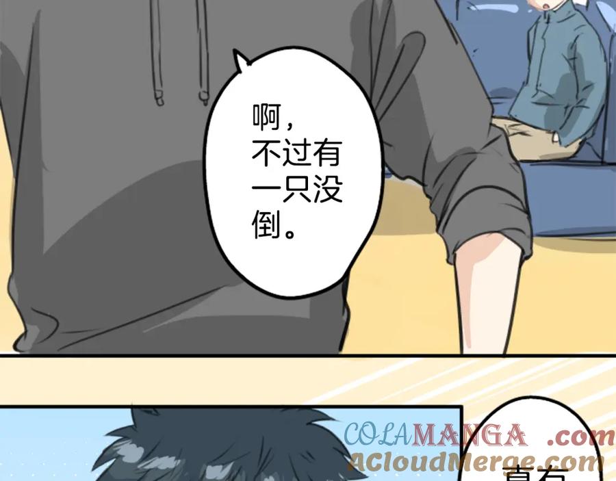 《犬系男子恋爱中》第268话 下雨和香烟 第7页