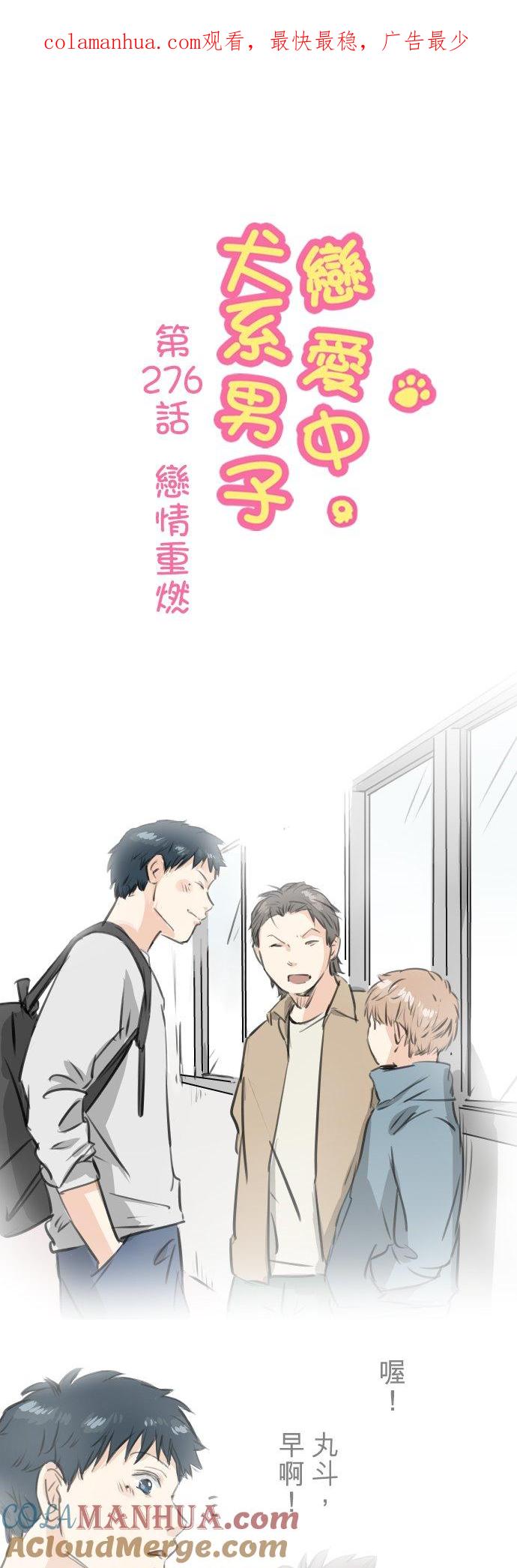 《犬系男子恋爱中》第276话 恋情重燃 第1页