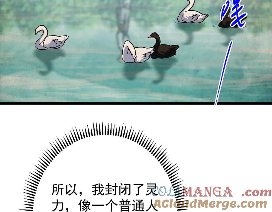 掌门低调点 453 平和又美好的一切 第61页
