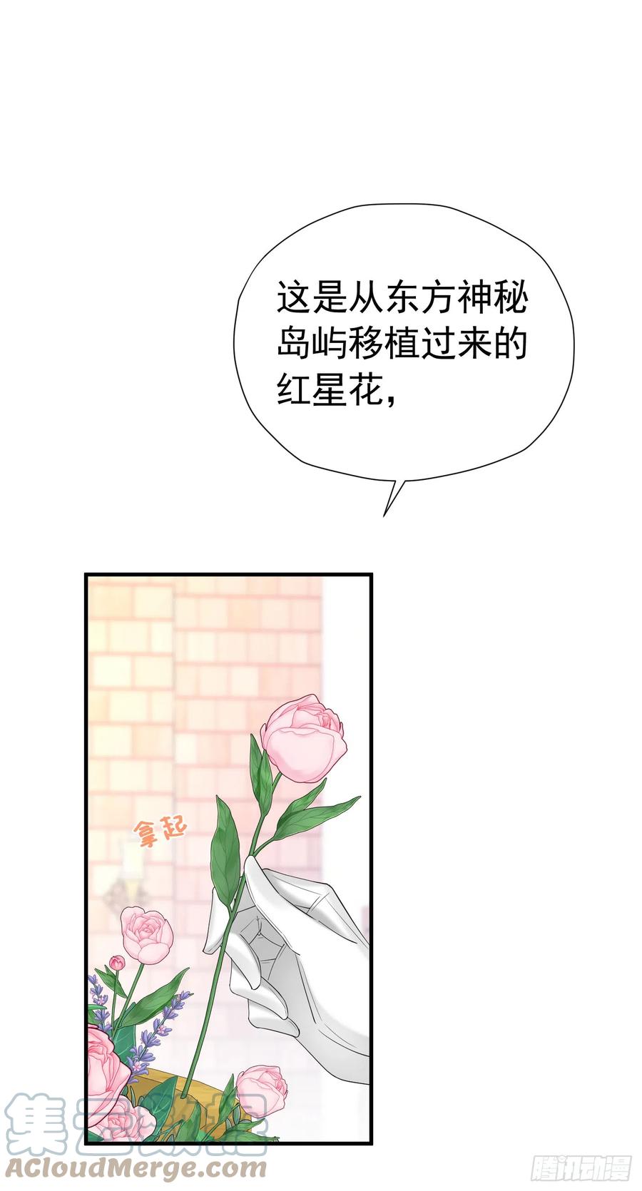 《我向死敌告白了》第43话 我要当奥伊芙的丈夫 第13页