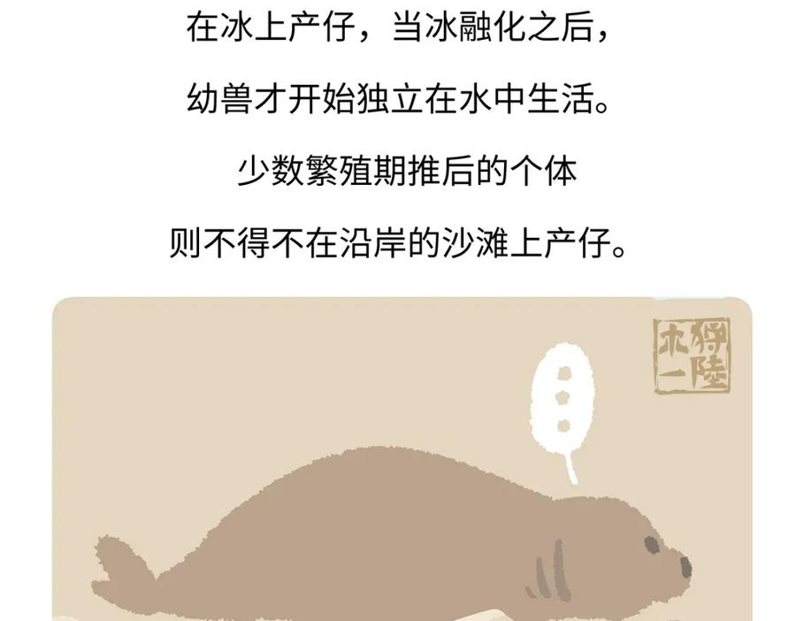 《胖达x胖达》第263话 第32页
