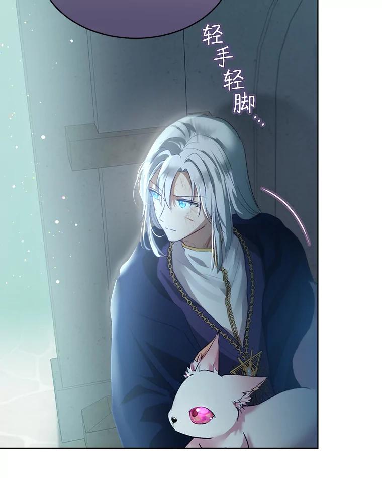 重生为神兽宝宝 - 42.意外的相遇 - 第76张图