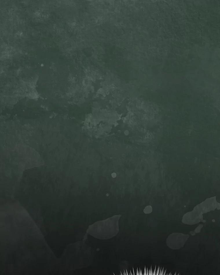 重生为神兽宝宝 - 42.意外的相遇 - 第91张图