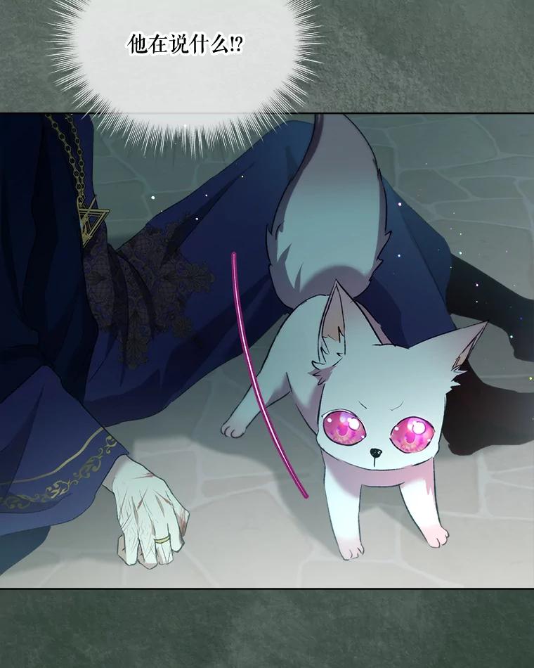 重生为神兽宝宝 - 42.意外的相遇 - 第90张图