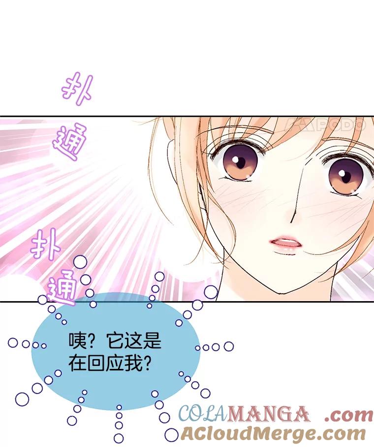 《我喜欢春天般的你》12.是你弄坏了我的刹车 第77页