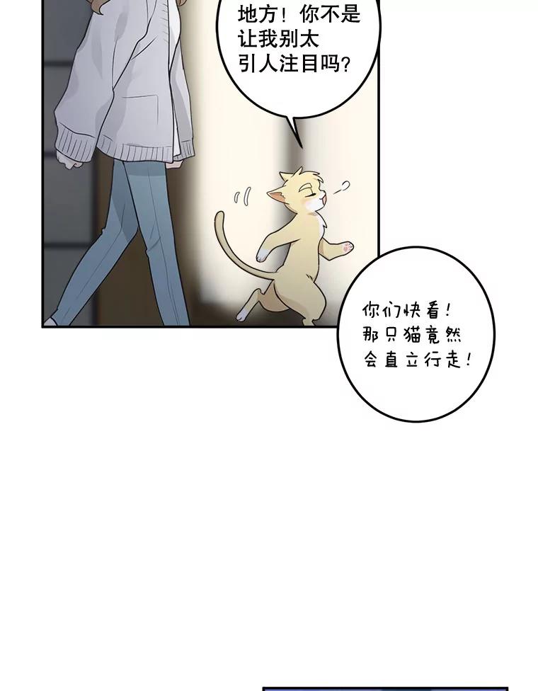 《李世界的平凡生活》13.美救英雄 第23页