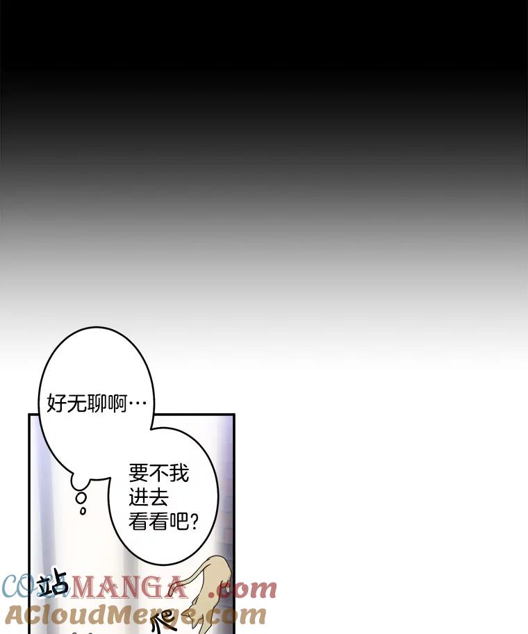 《李世界的平凡生活》13.美救英雄 第10页