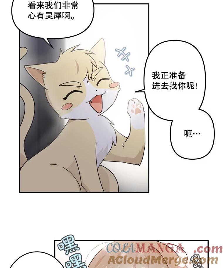 《李世界的平凡生活》13.美救英雄 第13页