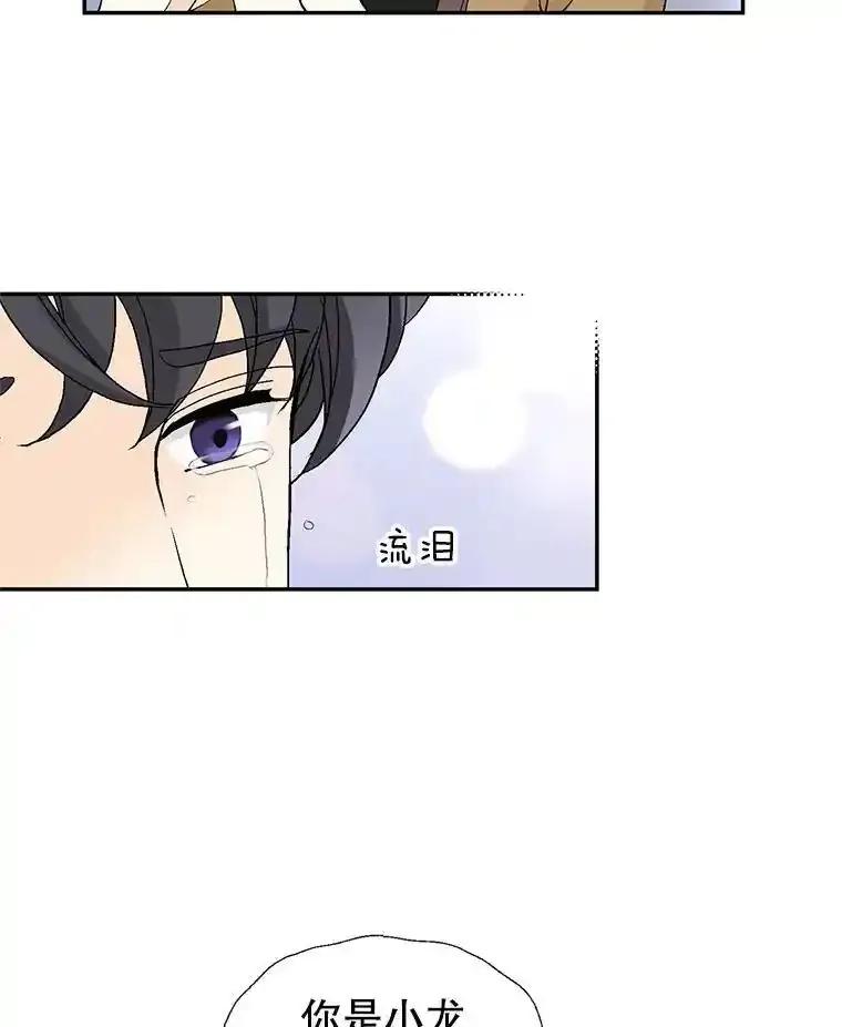 《我喜欢春天般的你》142.奇迹般的孩子。 第56页