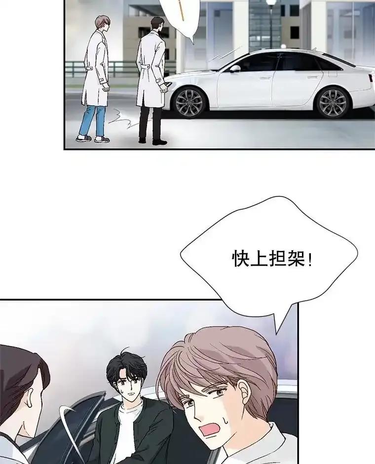 《我喜欢春天般的你》142.奇迹般的孩子。 第7页