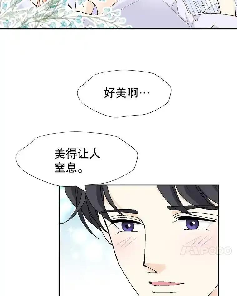 《我喜欢春天般的你》144.也看看我吧。 第122页