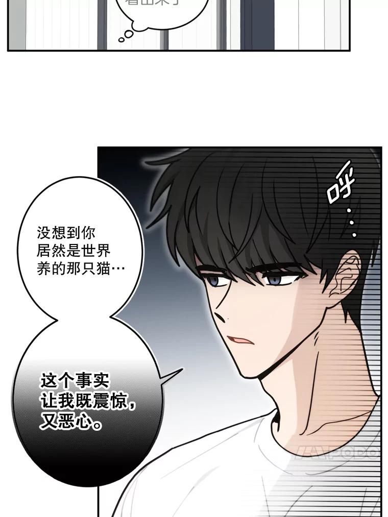 《李世界的平凡生活》35.英的真实身份 第51页