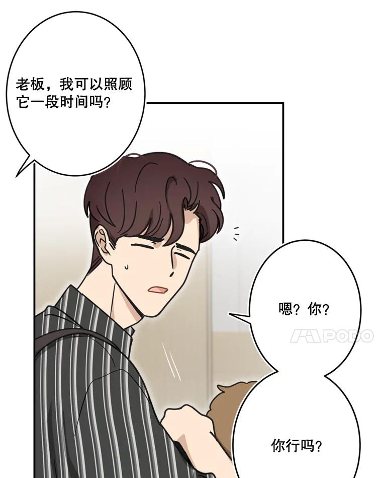 《李世界的平凡生活》36.被抛弃的小狗 第63页