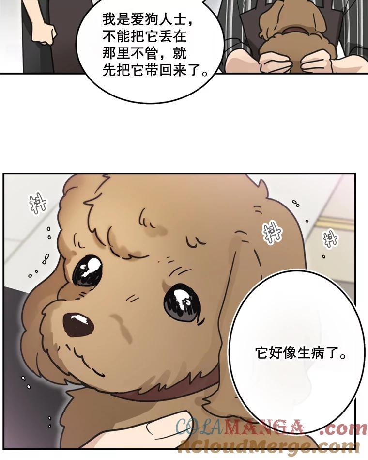 《李世界的平凡生活》36.被抛弃的小狗 第61页