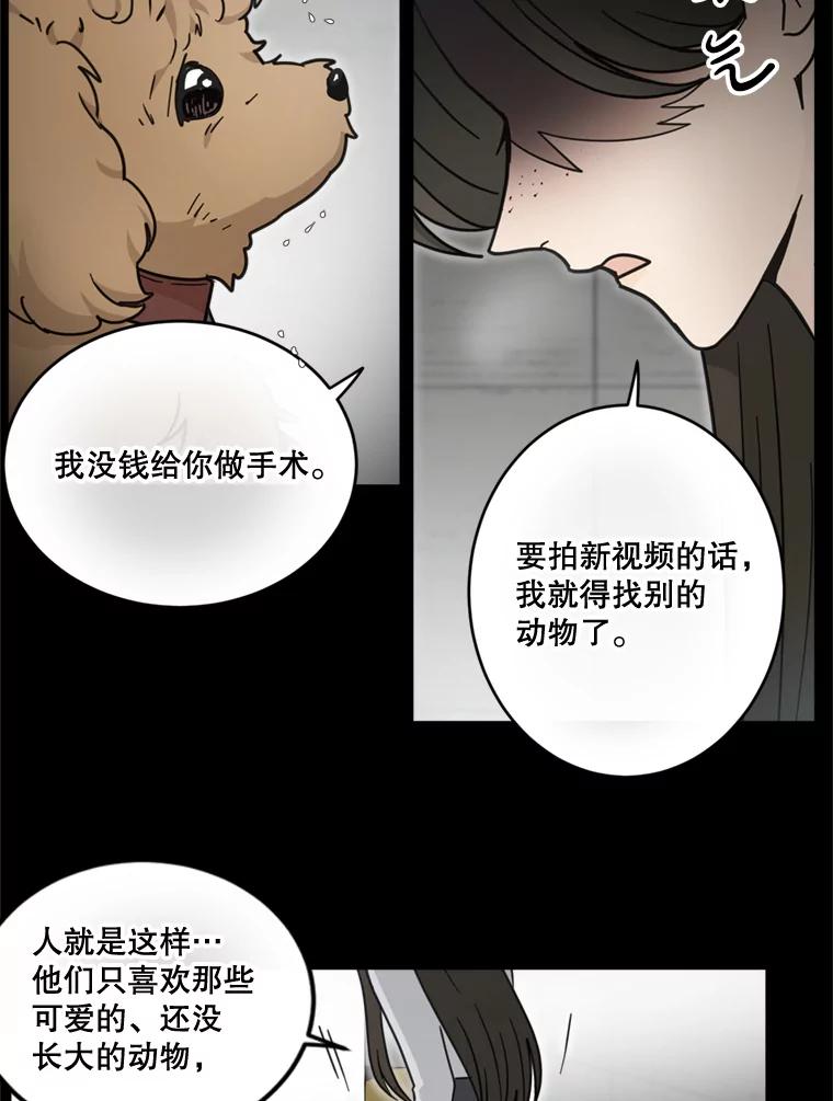 《李世界的平凡生活》36.被抛弃的小狗 第54页