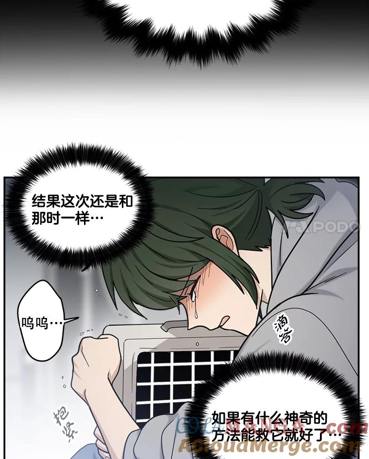 《李世界的平凡生活》44.闵雅的宠物 第49页