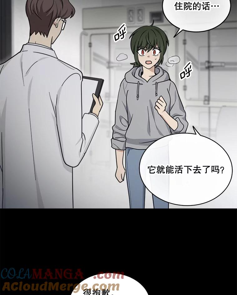 《李世界的平凡生活》44.闵雅的宠物 第43页