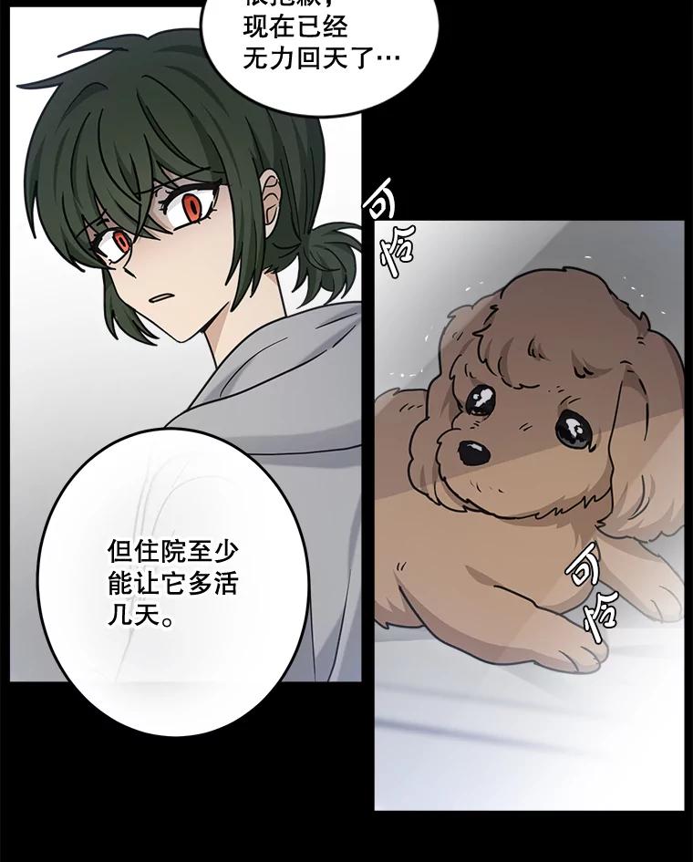 《李世界的平凡生活》44.闵雅的宠物 第44页
