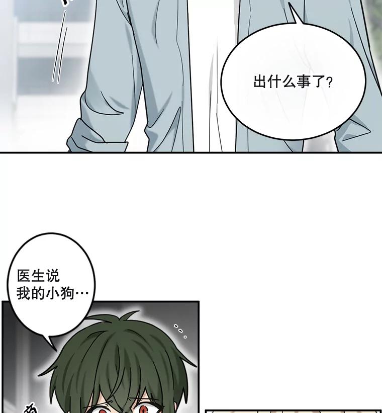 《李世界的平凡生活》45.英的力量 第3页