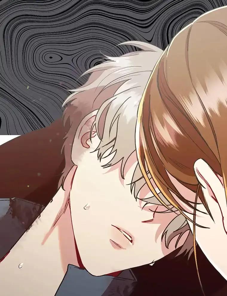 《第二个丈夫》76.葬礼 第19页