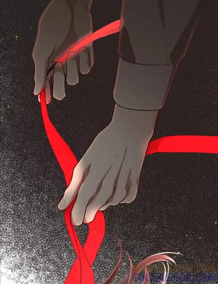 《第二个丈夫》76.葬礼 第29页