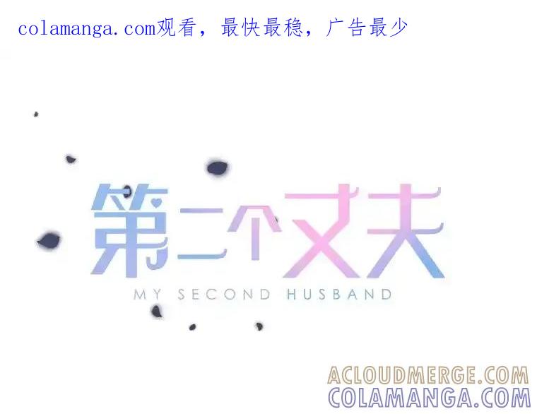 《第二个丈夫》77.所谓夫妻 第1页