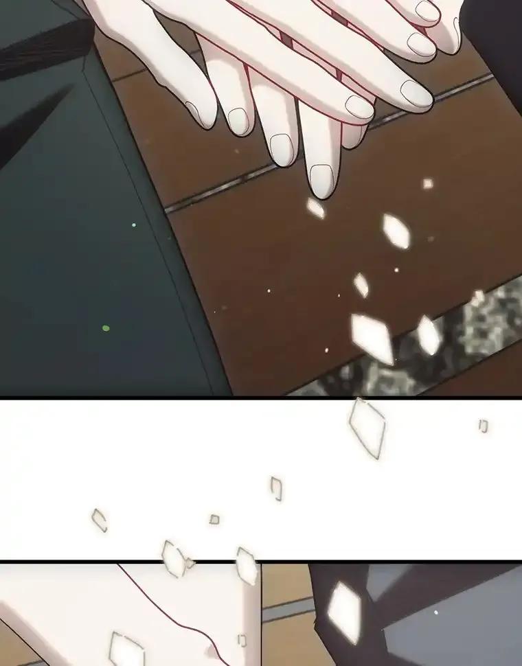 《第二个丈夫》77.所谓夫妻 第86页