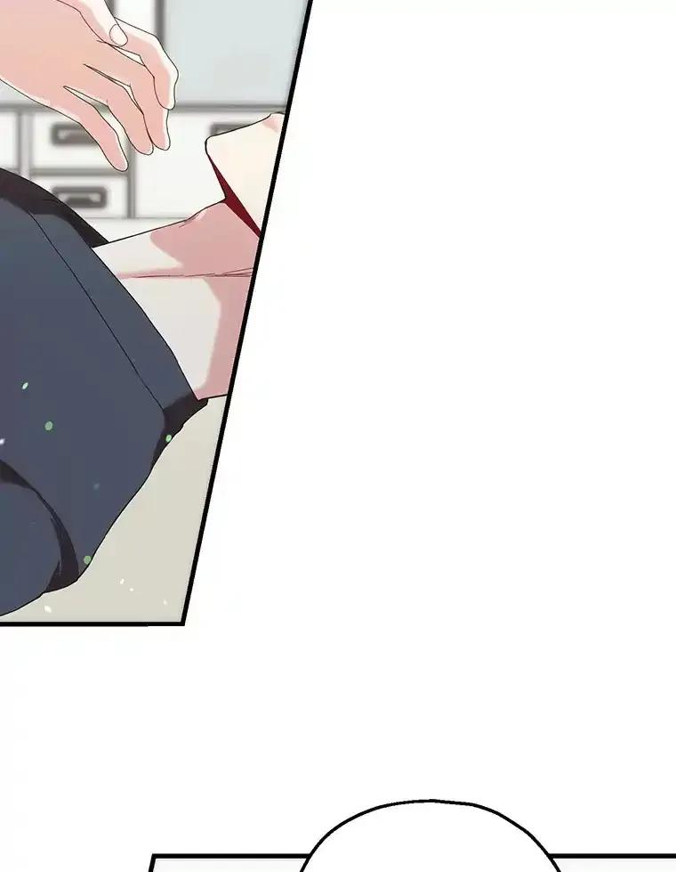 《第二个丈夫》78.探病 第112页