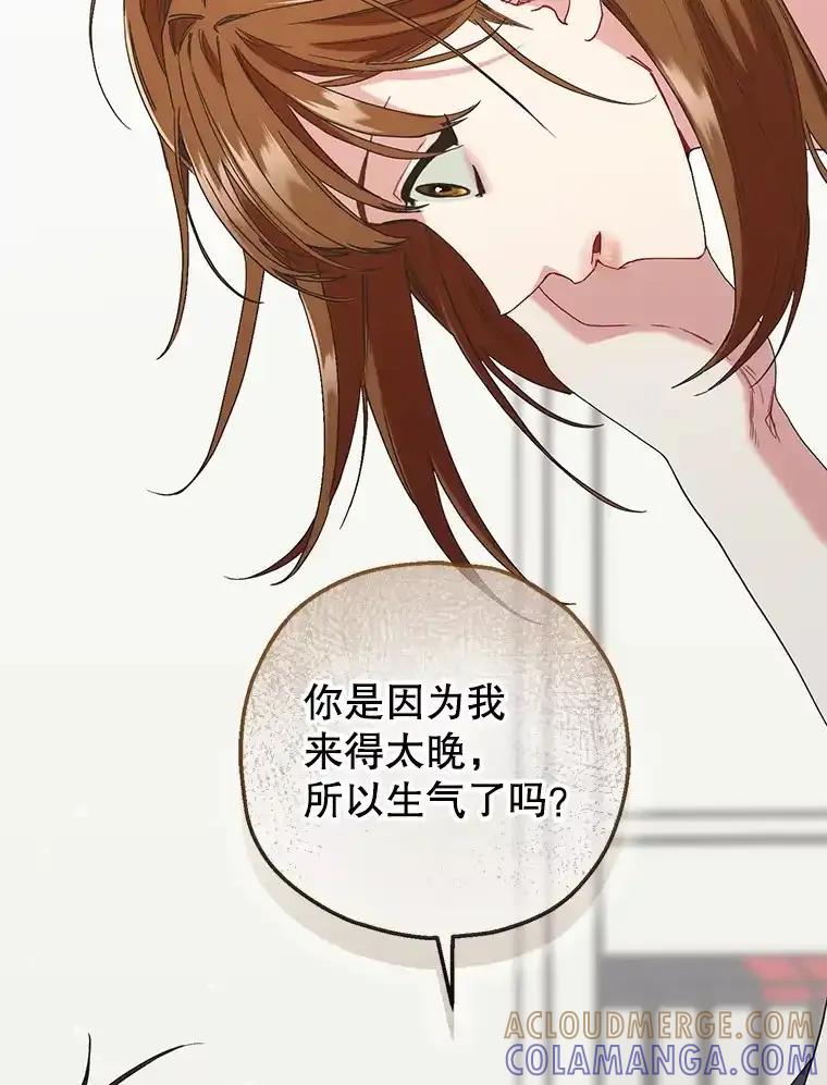 《第二个丈夫》78.探病 第85页