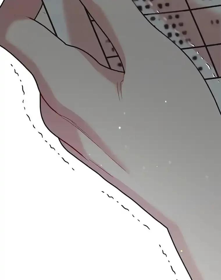 《第二个丈夫》78.探病 第131页