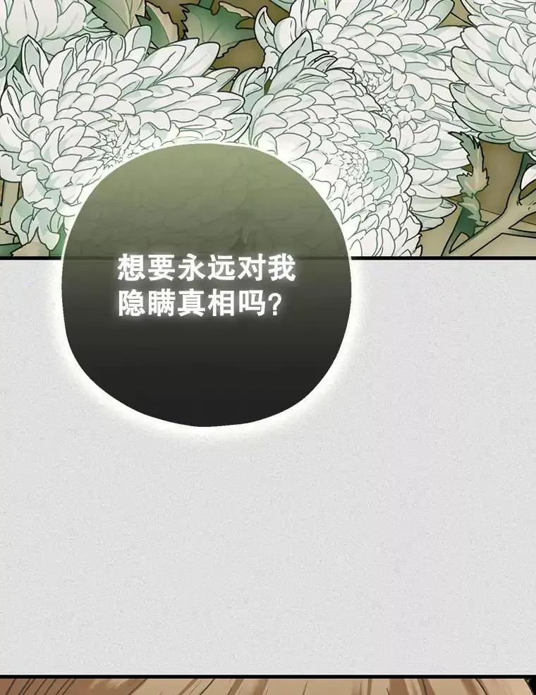 《第二个丈夫》79.最后的了断 第62页