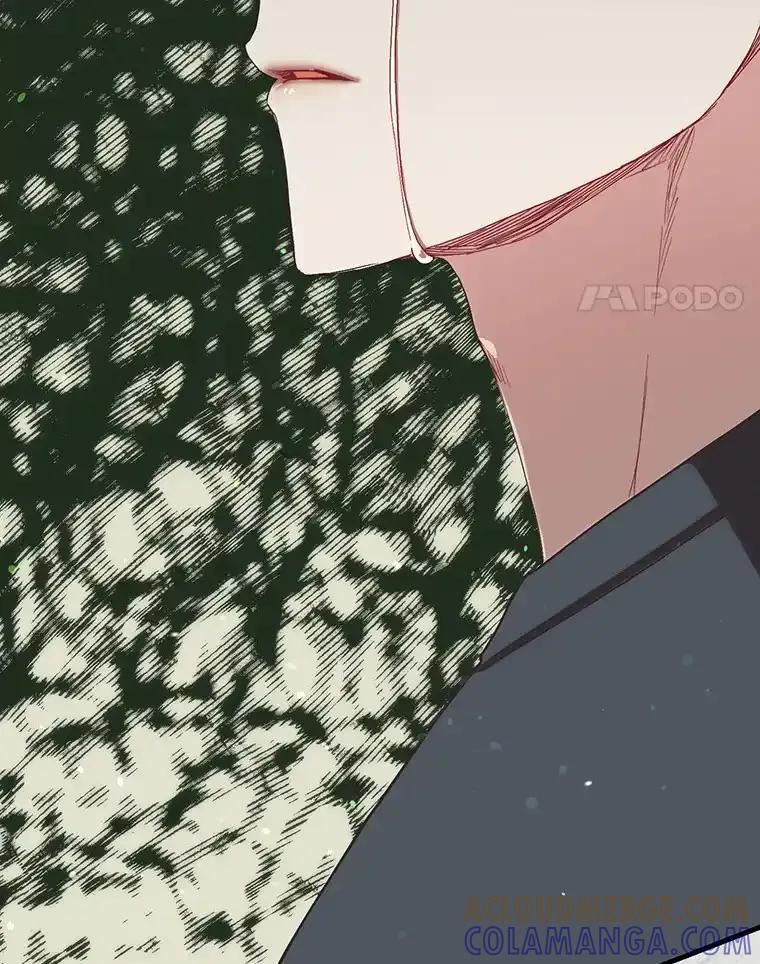 《第二个丈夫》79.最后的了断 第25页