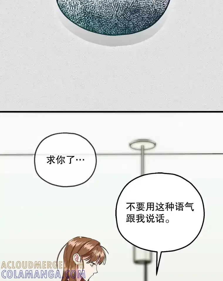 《第二个丈夫》79.最后的了断 第41页