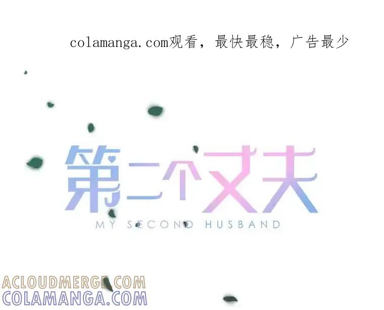 《第二个丈夫》79.最后的了断 第1页