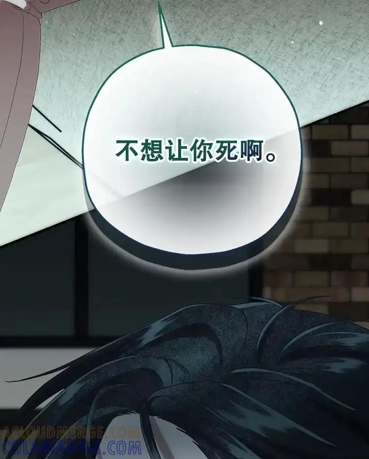《第二个丈夫》79.最后的了断 第137页