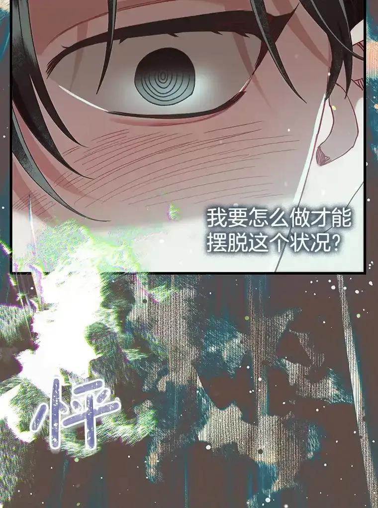 《第二个丈夫》79.最后的了断 第114页