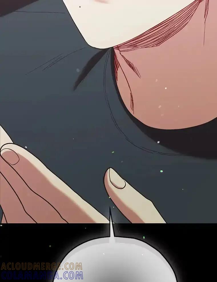 《第二个丈夫》79.最后的了断 第69页