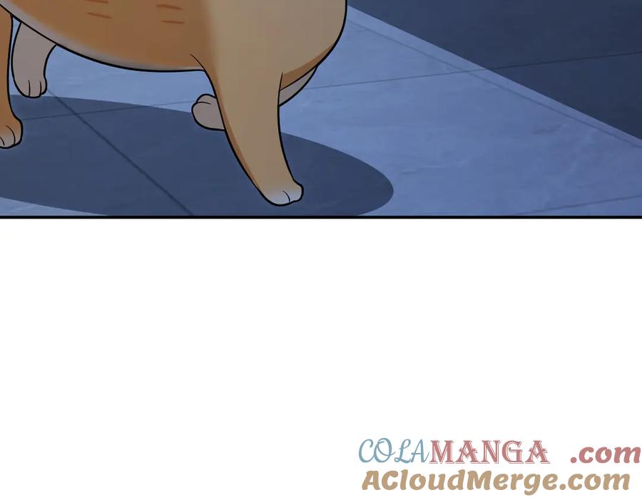125.jpg
