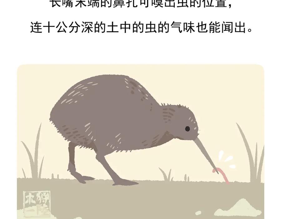 《胖达x胖达》第101话 第28页
