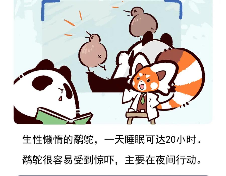 《胖达x胖达》第101话 第26页