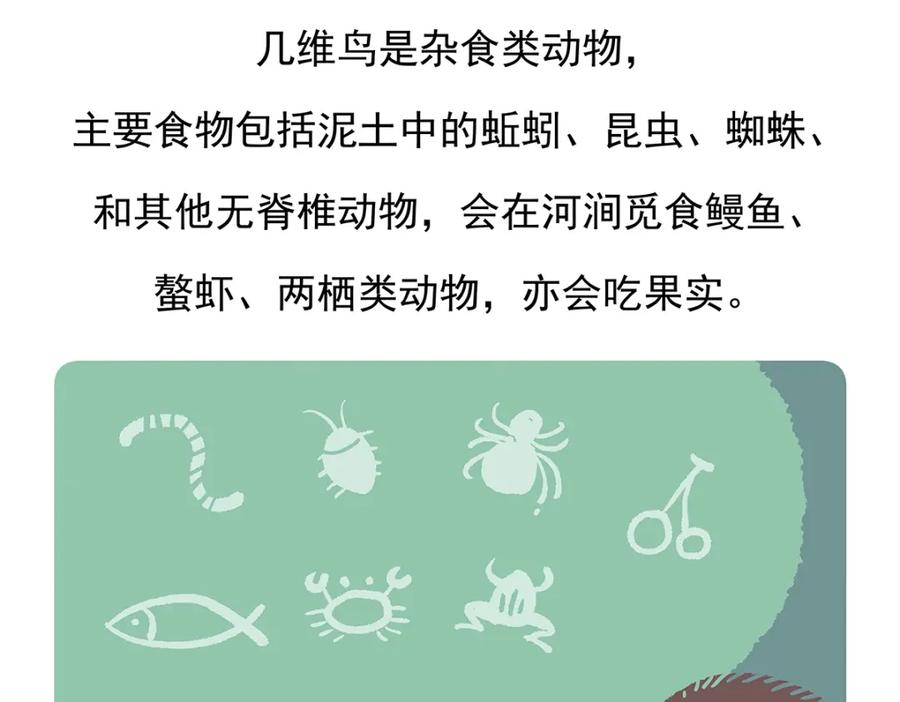 《胖达x胖达》第101话 第30页