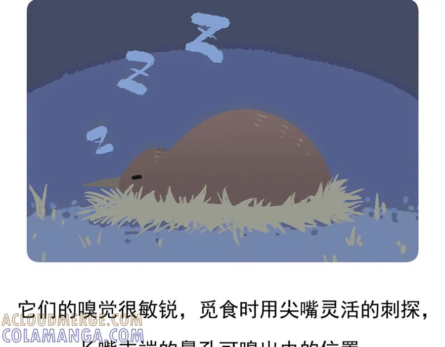 《胖达x胖达》第101话 第27页