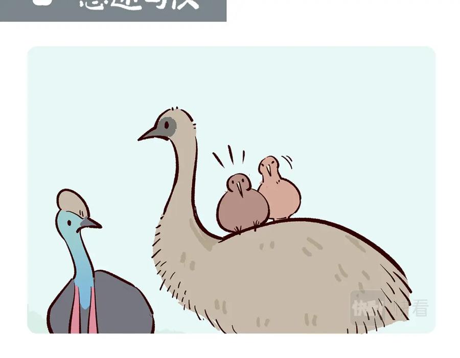 《胖达x胖达》第102话 第14页