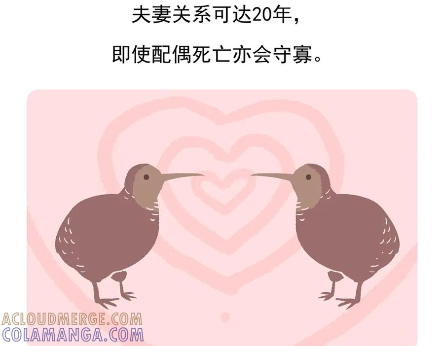 《胖达x胖达》第102话 第27页