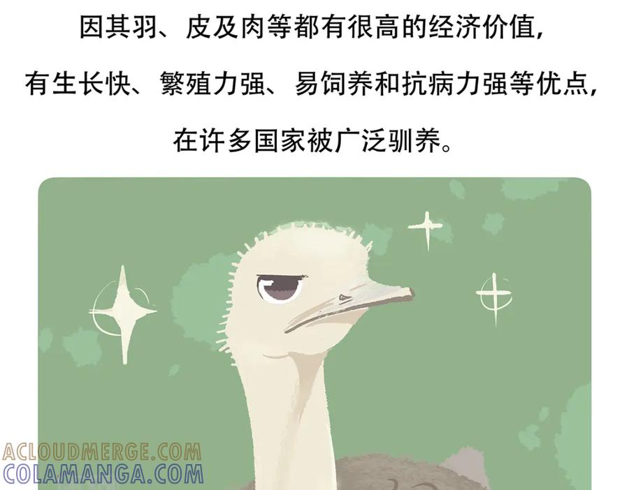 《胖达x胖达》第102话 第23页