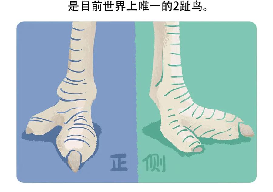 《胖达x胖达》第102话 第22页