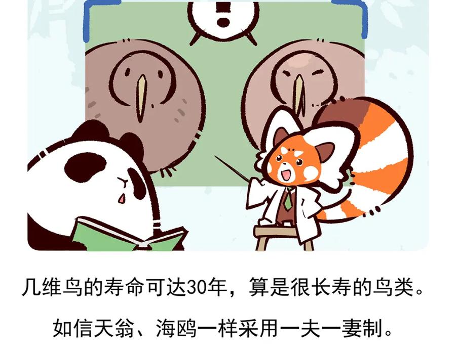 《胖达x胖达》第102话 第26页