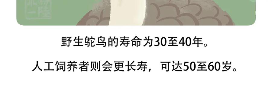 《胖达x胖达》第102话 第24页