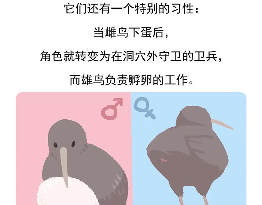 《胖达x胖达》第102话 第30页