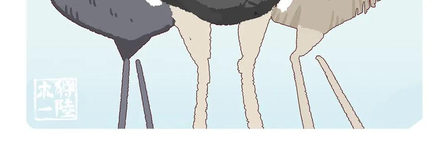 《胖达x胖达》第102话 第10页